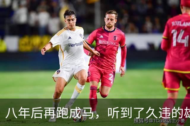 八年后再跑成马，听到了久违的雄起声