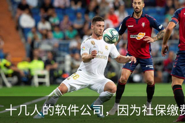 十几人的软件公司，因为社保缴费基数要调整，一年要增加50万成本