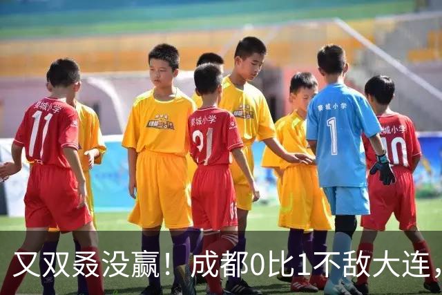 又双叒没赢！成都0比1不敌大连，中超冠军收官战揭晓