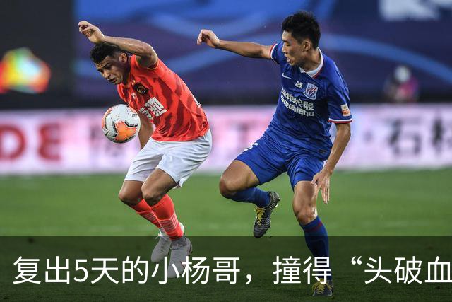 复出5天的小杨哥，撞得“头破血流”