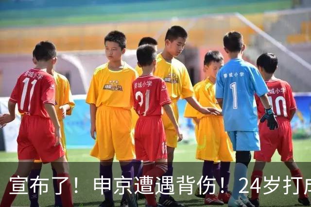 宣布了！申京遭遇背伤！24岁打成火箭新老大