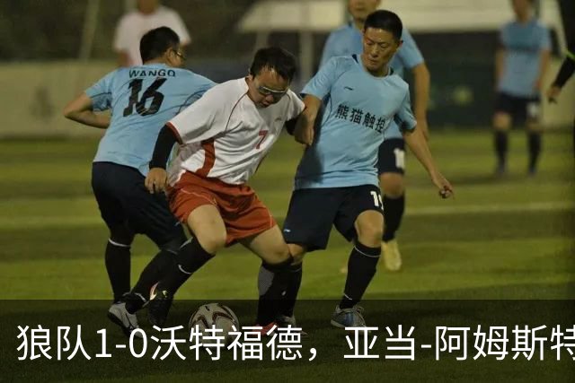 狼队1-0沃特福德，亚当-阿姆斯特朗制胜球