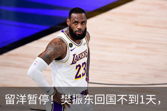 留洋暂停！樊振东回国不到1天，正式官宣新身份，终于等到这一天