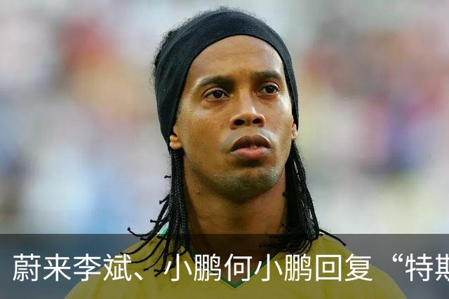蔚来李斌、小鹏何小鹏回复“特斯拉空中翻滚技术”