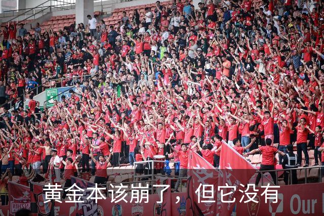 黄金本该崩了，但它没有